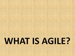 WHAT IS AGILE?
 