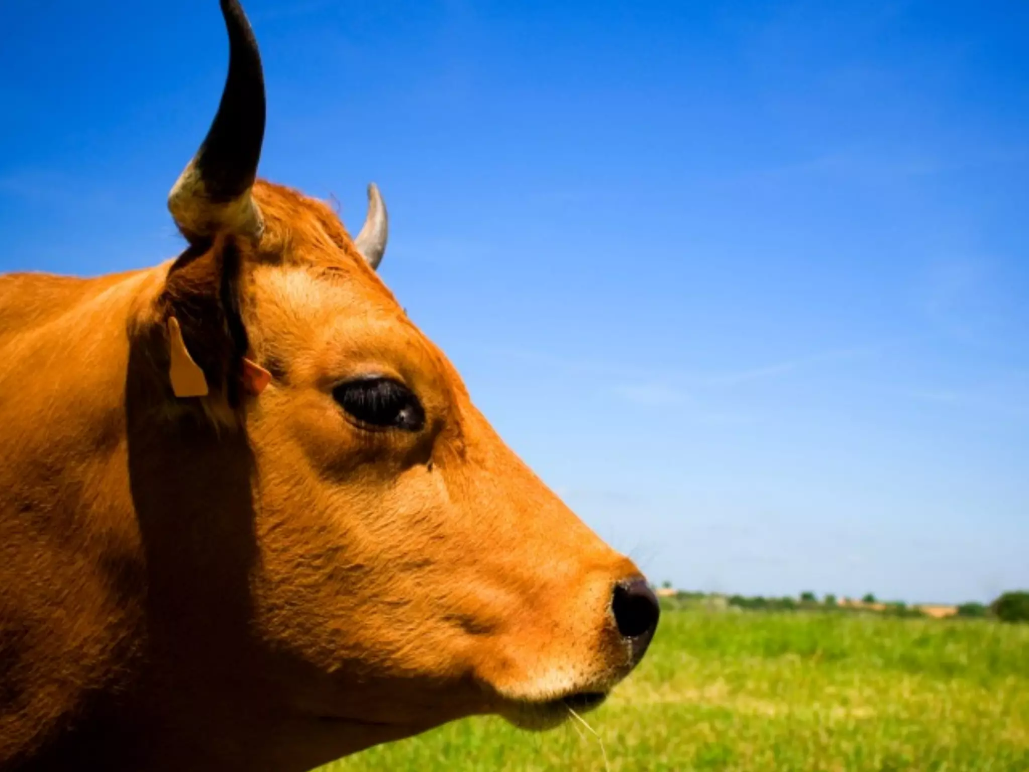 I knew that to address the problem I needed
to come up with a very simple system that I
could stick with.



  Know            Plan           Push


KPP is way to focus your attention on why
you want to do something, when to do it and
what to do when the going gets tough.
 