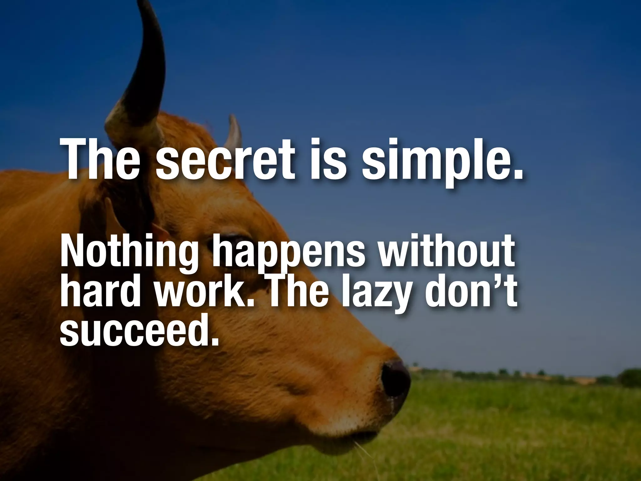 Know          Plan        Push

 Understand     Prepare   Make it so.
What and Why   the when
 