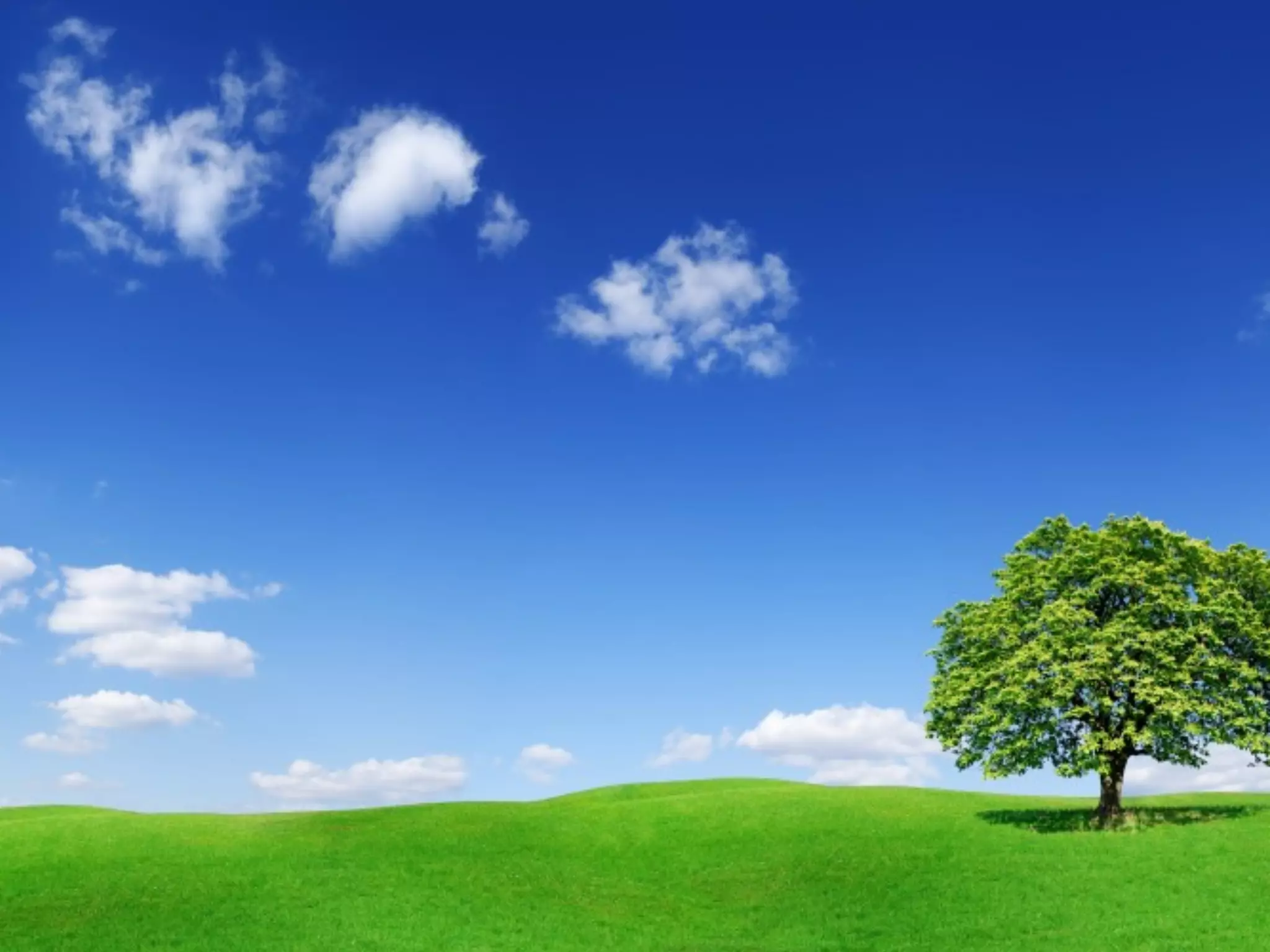 Running races is
easier when you
know where the
ﬁnish line is.
Everything you do should have
an identiﬁable conclusion.
 