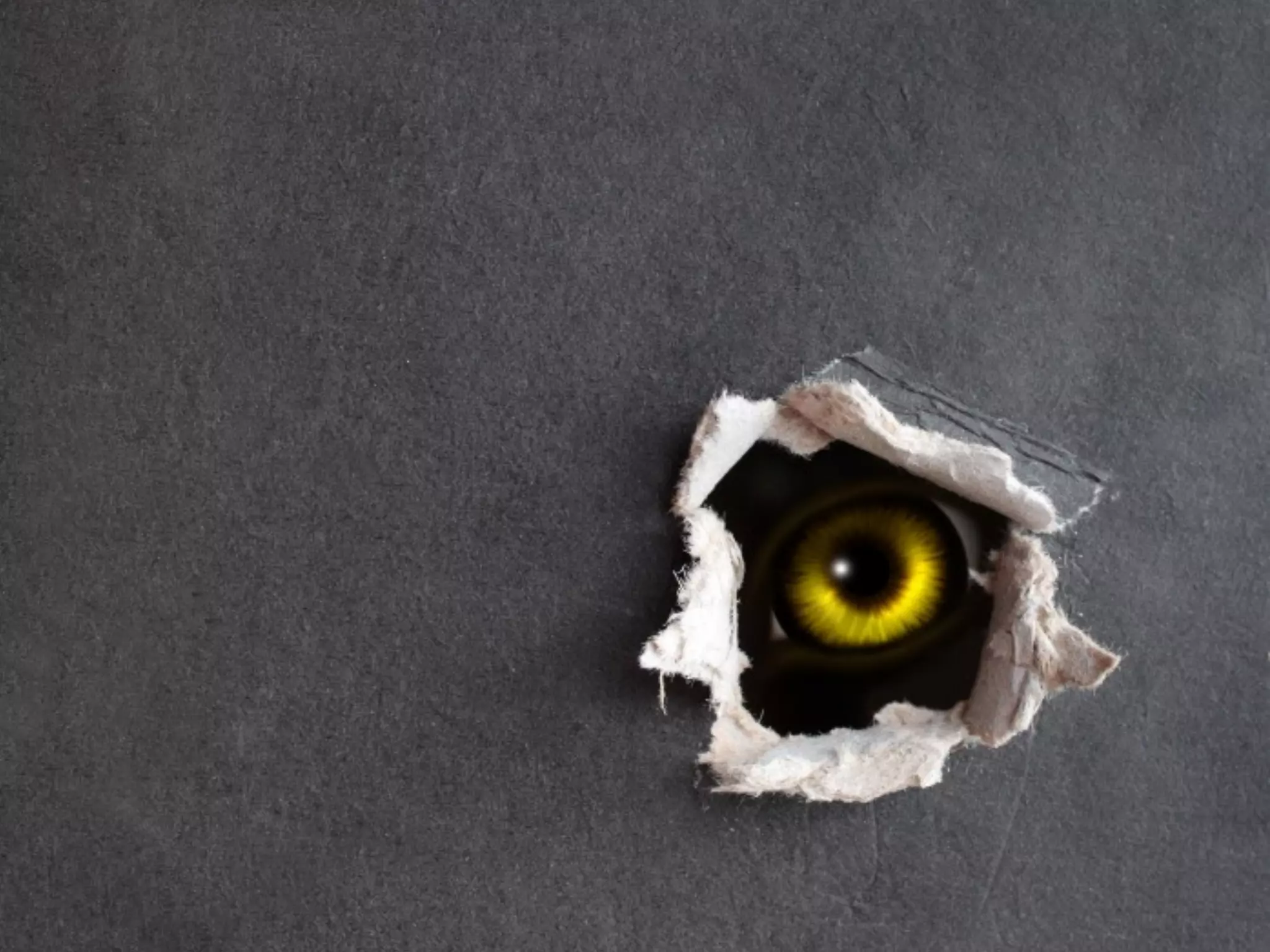 6.
Merlin’s Famous
procrastination
push.
10 minutes of effort, 2 minutes of break,
repeated 5 times in an hour = lots done.
 