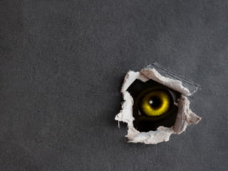 7.
Preform a few
minutes of
breathing
exercises.
Put some more O2 where it counts.
 