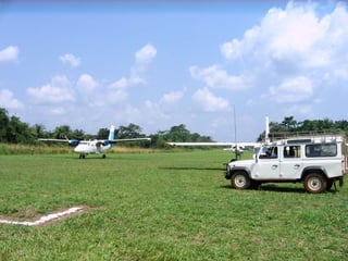 Exploring past gold producers