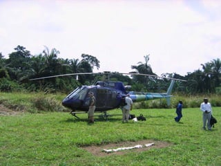 Exploring past gold producers