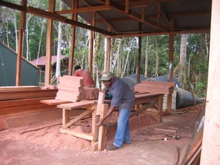 Exploring past gold producers