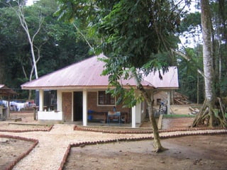 Exploring past gold producers