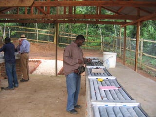 Exploring past gold producers