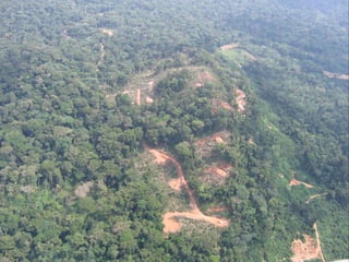 Exploring past gold producers