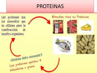 PROTEINAS
 