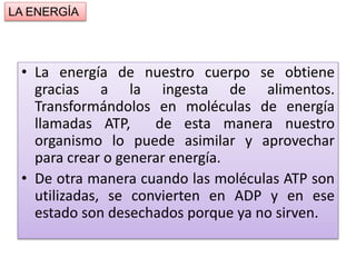 • La energía de nuestro cuerpo se obtiene
gracias a la ingesta de alimentos.
Transformándolos en moléculas de energía
llamadas ATP, de esta manera nuestro
organismo lo puede asimilar y aprovechar
para crear o generar energía.
• De otra manera cuando las moléculas ATP son
utilizadas, se convierten en ADP y en ese
estado son desechados porque ya no sirven.
LA ENERGÍA
 