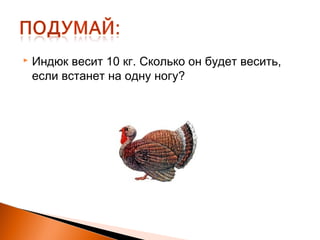  Индюк весит 10 кг. Сколько он будет весить,
если встанет на одну ногу?
 