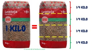 El sonido de la hierba al crecer
1/4 KILO
1 KILO =
1/4 KILO
1/4 KILO
1/4 KILO
 