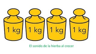 El sonido de la hierba al crecer
 