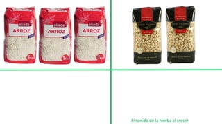 El sonido de la hierba al crecer
 