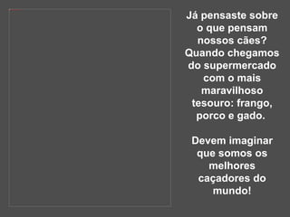 Já pensaste sobre o que pensam nossos cães? Quando chegamos do supermercado com o mais maravilhoso tesouro: frango, porco e gado.  Devem imaginar que somos os melhores caçadores do mundo! 