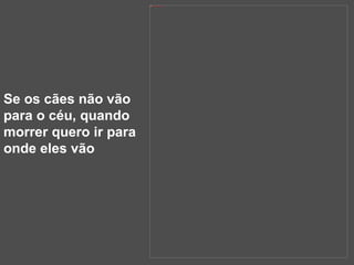 Se os cães não vão para o céu, quando morrer quero ir para onde eles vão 