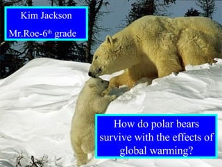 By: Kim Jackson Mr.Roe- 6 th  grade How do polar bears survive with the effects of global warming? Kim Jackson Mr.Roe-6 th  grade   