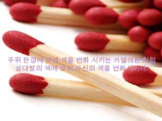 Kimjungsoo