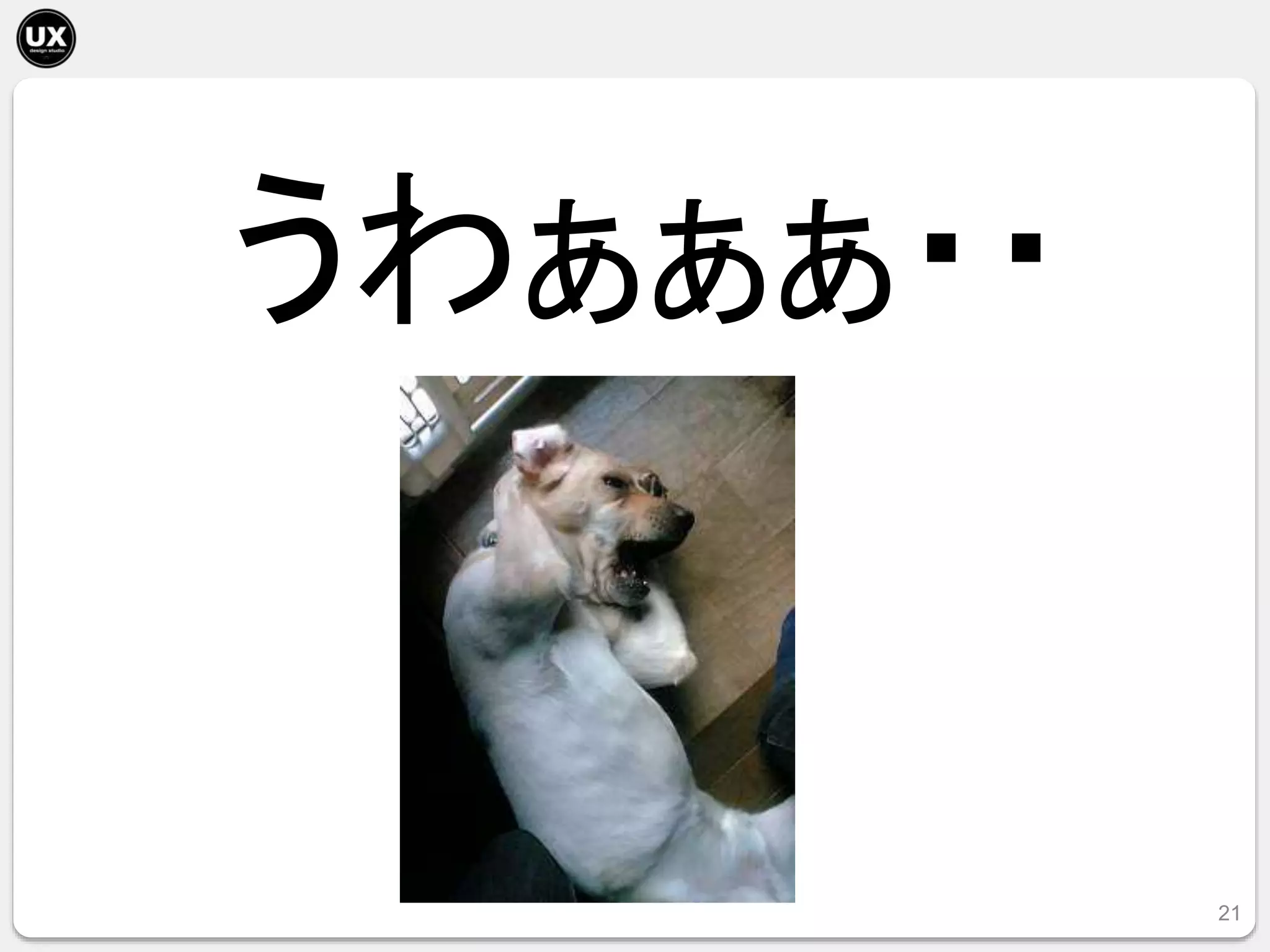 21
うわぁぁぁ・・
 