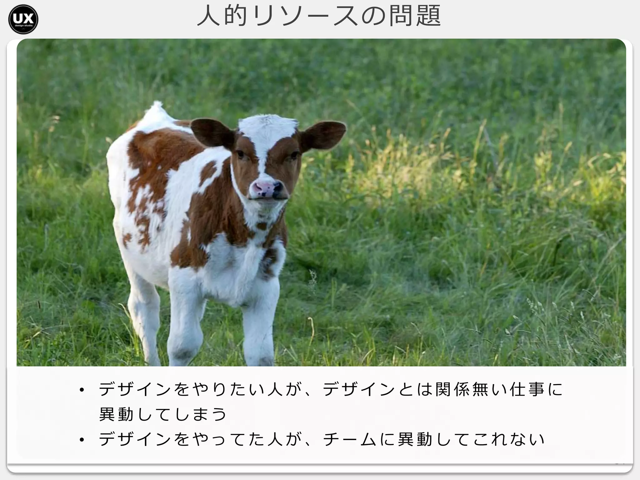 人的リソースの問題
34
• デ ザ イ ン を や り た い 人 が 、 デ ザ イ ン と は 関 係 無 い 仕 事 に
異 動 し て し ま う
• デ ザ イ ン を や っ て た 人 が 、 チ ー ム に 異 動 し て こ れ な い
 