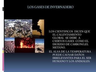 LOS GASES DE INVERNADEROLOS CIENTIFICOS  DICEN QUE EL CALENTAMIENTO GLOBAL  SE DEBE  A CIERTOS GASES  COMO EL DIOXIDO DE CARBONO,EL METANO.EL ALSA DE LA TEMPERATURA PUEDE CAUSAR DAÑOS IRRELEVANTES PARA EL SER HUMANO Y LOS ANIMALES.
