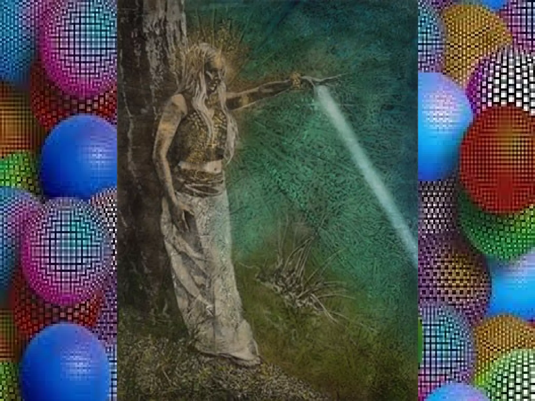 Kimberly Webber: El realismo mágico