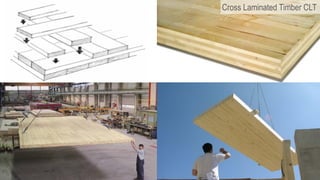 Kim collins integral engineering design clt and innovation in ...