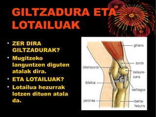 GILTZADURA ETA
LOTAILUAK

ZER DIRA
GILTZADURAK?

Mugitzeko
languntzen diguten
atalak dira.

ETA LOTAILUAK?

Lotailua hezurrak
lotzen dituen atala
da.
 