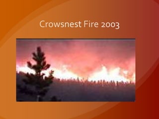 Crowsnest Fire 2003 