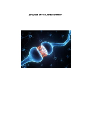Sinapsat dhe neurotransmiterët
 