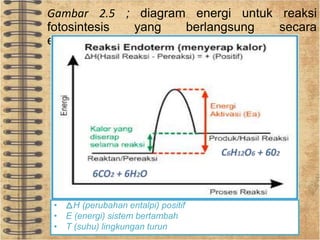 Gambar 2.5 ; diagram energi untuk reaksi 
fotosintesis yang berlangsung secara 
endotermis 
• H (perubahan entalpi) positif 
• E (energi) sistem bertambah 
• T (suhu) lingkungan turun 
 