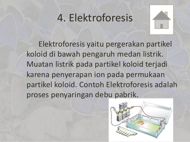 Contoh Elektroforesis Koloid Dalam Kehidupan Sehari Hari Temukan Contoh
