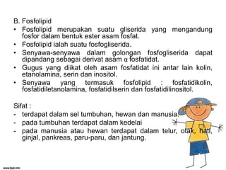 B. Fosfolipid
• Fosfolipid merupakan suatu gliserida yang mengandung
fosfor dalam bentuk ester asam fosfat.
• Fosfolipid ialah suatu fosfogliserida.
• Senyawa-senyawa dalam golongan fosfogliserida dapat
dipandang sebagai derivat asam α fosfatidat.
• Gugus yang diikat oleh asam fosfatidat ini antar lain kolin,
etanolamina, serin dan inositol.
• Senyawa yang termasuk fosfolipid : fosfatidikolin,
fosfatidiletanolamina, fosfatidilserin dan fosfatidilinositol.
Sifat :
- terdapat dalam sel tumbuhan, hewan dan manusia.
- pada tumbuhan terdapat dalam kedelai
- pada manusia atau hewan terdapat dalam telur, otak, hati,
ginjal, pankreas, paru-paru, dan jantung.

 
