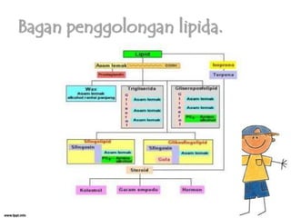 Bagan penggolongan lipida.

 