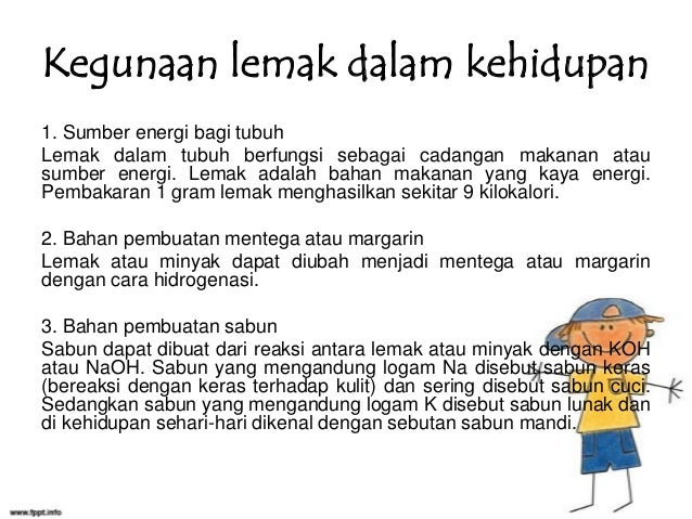 Apa fungsi lemak bagi tubuh kita 2021