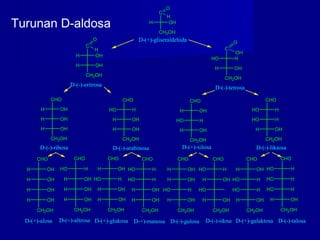 H
CHO
OH
H OH
CH2OH
H OH
HO
CHO
H
H OH
CH2OH
H OH
H
CHO
OH
HO H
CH2OH
H OH
HO
CHO
H
HO H
CH2OH
H OH
H
C
OH
CH2OH
H OH
HO
C
H
CH2OH
H OH
H
CHO
OH
H OH
H OH
H OH
CH2OH
HO
CHO
H
H OH
H OH
H OH
CH2OH
H
CHO
OH
HO H
H OH
H OH
CH2OH
HO
CHO
H
HO H
H OH
H OH
CH2OH
H
CHO
OH
H OH
HO H
H OH
CH2OH
HO
CHO
H
H OH
HO
H OH
CH2OH
H
CHO
OH
HO H
HO H
H OH
CH2OH
HO
CHO
H
HO H
HO H
H OH
CH2OH
H
C
OH
CH2OH
O
H
O
H
O
OH
D-(-)-eritrosa
D-(-)-tetrosa
D-(+)-gliseraldehida
D-(-)-ribosa D-(-)-arabinosa D-(+)-xilosa D-(-)-liksosa
D-(+)-alosa D-(+)-altrosa D-(+)-glukosa D-+)-manosa D-(-)-gulosa D-(-)-idosa D-(+)-galaktosa D-(-)-talosa
Turunan D-aldosa
 