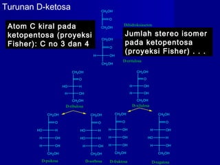 CH2OH
O
CH2OH
H OH
CH2OH
O
HO H
CH2OH
H OH
CH2OH
O
HO H
H OH
H OH
CH2OH
CH2OH
O
HO H
HO H
H OH
CH2OH
CH2OH
O
H OH
H OH
H OH
CH2OH
CH2OH
O
H OH
HO H
H OH
CH2OH
CH2OH
O
CH2OH
CH2OH
O
H OH
CH2OH
H OH
Dihidroksiaseton
D-eritulosa
D-ribulosa D-xilulosa
D-psikosa D-sorbosa D-fruktosa D-tagatosa
Turunan D-ketosa
Atom C kiral pada
ketopentosa (proyeksi
Fisher): C no 3 dan 4
Jumlah stereo isomer
pada ketopentosa
(proyeksi Fisher) . . .
 