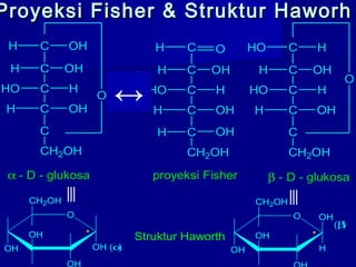 Proyeksi Fisher & Struktur HaworhProyeksi Fisher & Struktur Haworh
C OH
C OHH
C HHO
C OHH
C
CH2OH
H C O
C OHH
C HHO
C OHH
C
CH2OH
H
H OH
C H
C OHH
C HHO
C OHH
C
CH2OH
HO
O
α - D - glukosa proyeksi Fisher β - D - glukosa
O
O
OH OH (α)
OH
OH
CH2OH
*
O
OH
OH
H
OH
CH2OH
*Struktur Haworth
(β)
↔
 