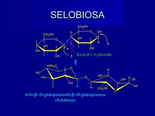 SELOBIOSASELOBIOSA
O
OH
o
OH
OH
CH2OH
*
H O OH
H
OH
OH
CH2OH
*
1'
4
β
β
Ikatan β-1',4 glikosidik
HO
O
HO
H
OH
HOH2C
O
CH2OH
O
1'
4
(β)
4-O-(β−D-glukopiranosil)-β−D-glukopiranosa
(Selubiosa)
H
OH
H
HO
H
H
OH
 