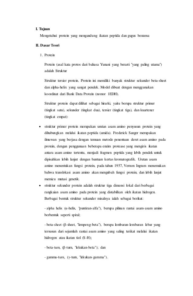 Laporan Kimia Uji Protein