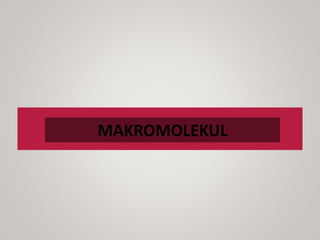 MAKROMOLEKUL
 