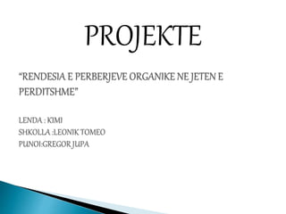 PROJEKTE
 