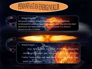 1. Bidang Peternakan
Para peneliti Indonesia berhasil menggunakan isotop radioaktif untuk
mendayagunakan pakan sehingga dengan jumlah pakan yang sama akan dapat
dikomsumsi oleh lebih banyak ternak. Namanya adalah Urea Molasses
Multinutrient Block (UMMB)
1. Bidang Pertanian
Pusat Aplikasi Isotop dan Radiasi (PAIR) telah menghasilkan
sejumlah varietas unggul yang baru dengan cara mutasi oleh imbas
radiasi, seperti varietas padi untuk dataran rendah dan dataran tinggi,
kedelai, dan kacang hijau.
 
