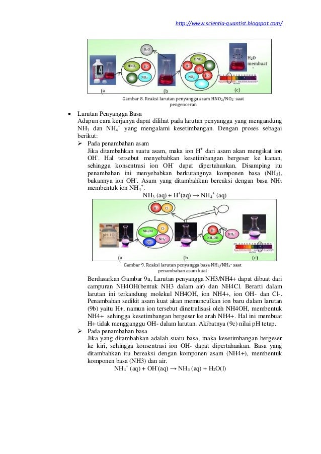 Laporan Praktikum Kimia_Larutan Penyangga