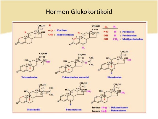 Hasil gambar untuk struktur glukokortikoid