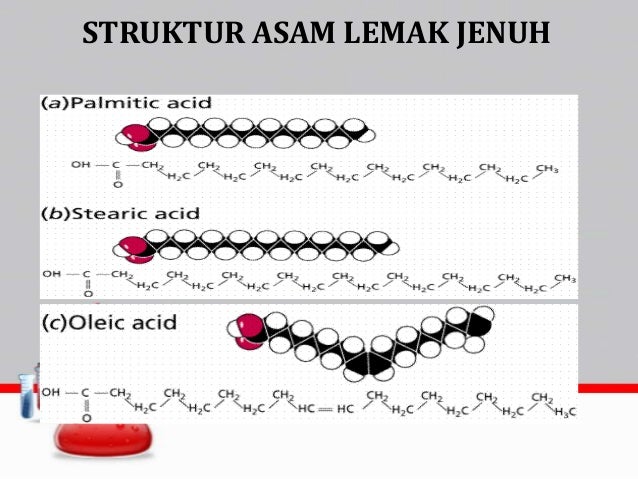 Struktur Asam Lemak Jenuh Dan Tak Jenuh - Berbagai Struktur
