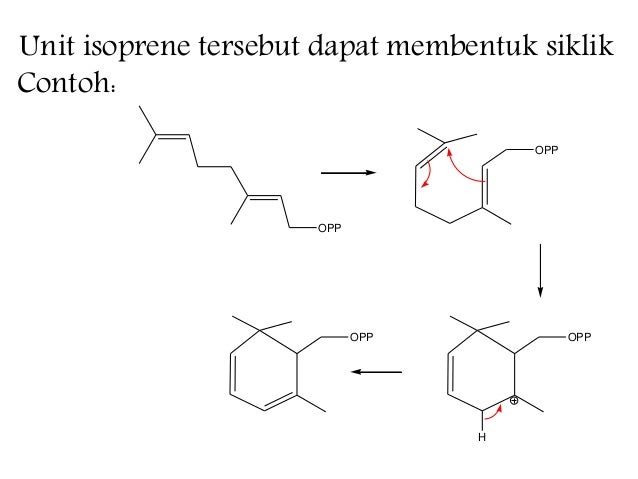 Hasil gambar untuk contoh dari senyawa isoprene