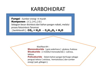 Karbohidrat: Sumber Energi Utama dalam Perspektif Kimia