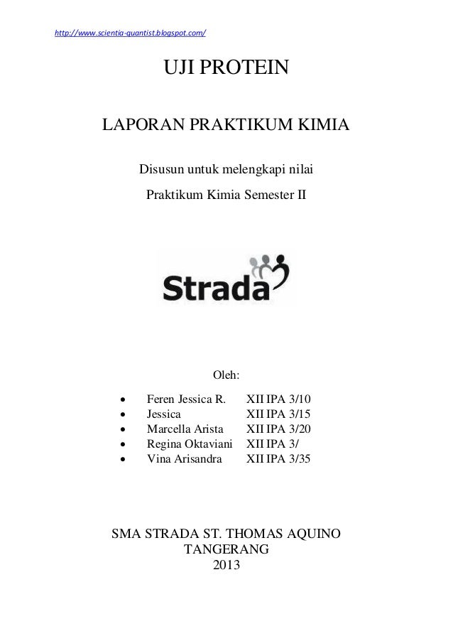 Laporan Praktikum Kimia Uji Protein