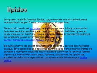lípidosLas grasas, también llamadas lípidos, conjuntamente con los carbohidratos representan la mayor fuente de energía para el organismo. Como en el caso de las proteínas, existen grasas esenciales y no esenciales. Las esenciales son aquellas que el organismo no puede sintetizar, y son: el ácido linoléico y el linolénico, aunque normalmente no se encuentran ausentes del organismo ya que están contenidos en carnes, fiambres, pescados, huevos, etc. Bioquímicamente, las grasas son sustancias apolares y por ello son insolubles en agua. Esta apolaridad se debe a que sus moléculas tienen muchos átomos de carbono e hidrógeno unidos de modo covalente puro y por lo tanto no forman dipolos que interactúen con el agua. Podemos concluir que los lípidos son excelentes aislantes y separadores. Las grasas están formadas por ácidos grasos.